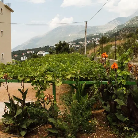 Pensionat Sunshine Dhërmi